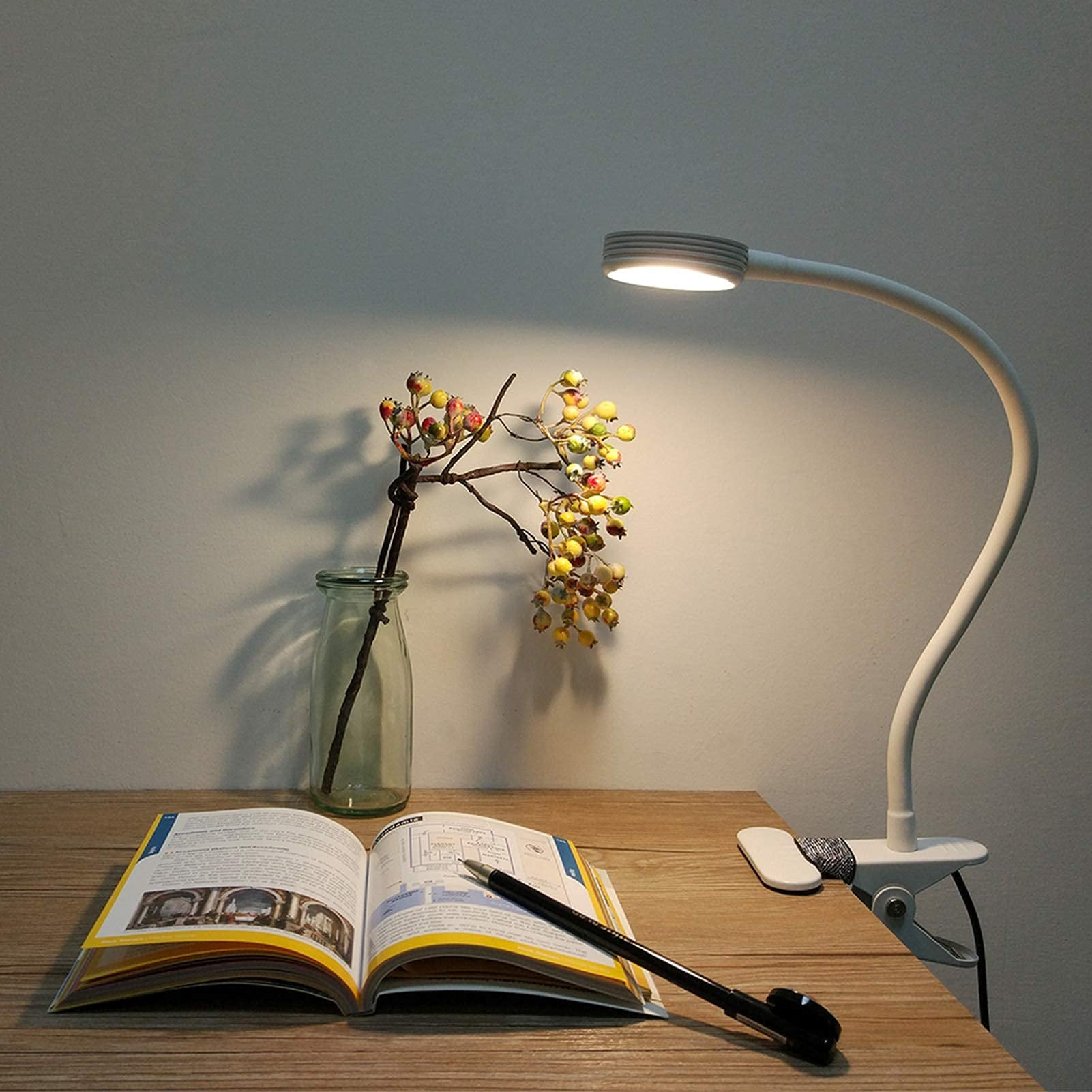 Lepower-tec Flexible Clip On Desk Light with USB Charging